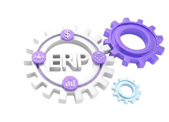 Libro ERP